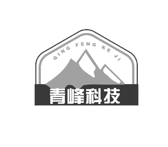 广东青锋科技有限公司,广东青锋科技有限公司，创新科技的先驱者