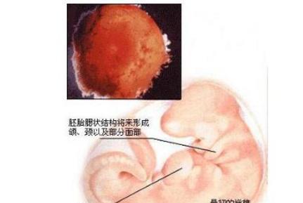 技术咨询 第121页