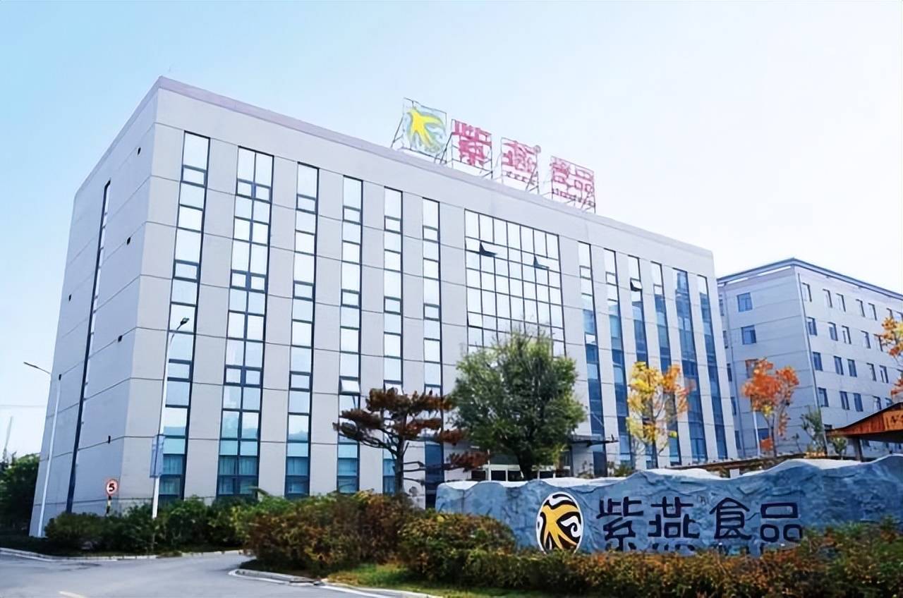广东紫燕食品有限公司,广东紫燕食品有限公司，探索食品行业的卓越之路