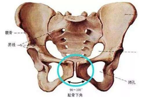 怀孕五个月耻骨疼,怀孕五个月耻骨疼痛，原因、缓解与管理