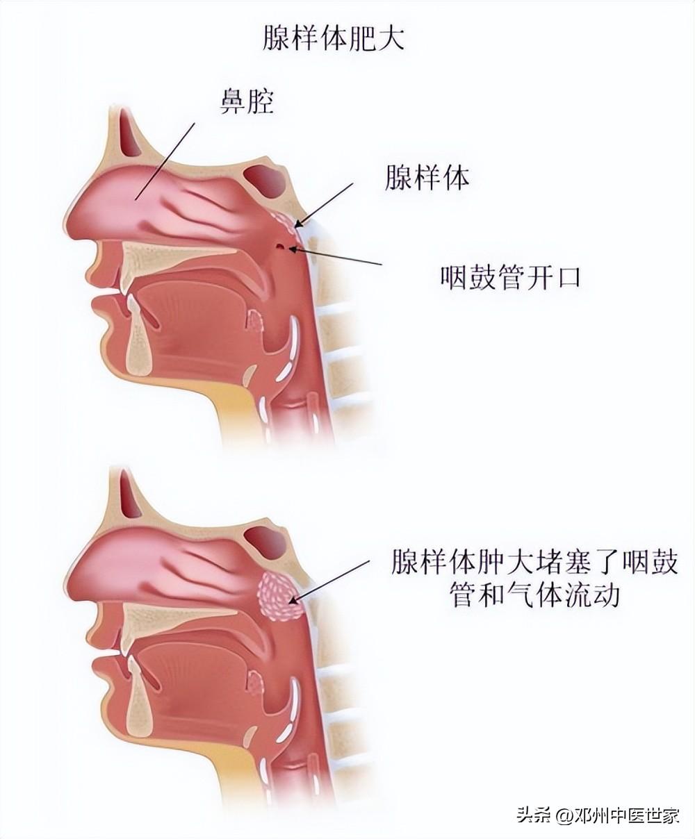 木兰生活床上用品,木兰生活床上用品，打造优质睡眠的秘诀