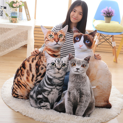 猫咪家庭床上用品有哪些,猫咪家庭床上用品，打造温馨舒适的宠物生活空间