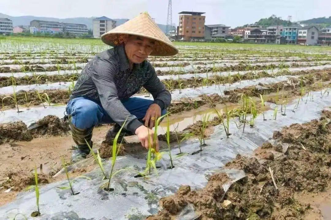 广东原本信息有限公司,广东原本信息有限公司，引领数字化转型，塑造科技未来