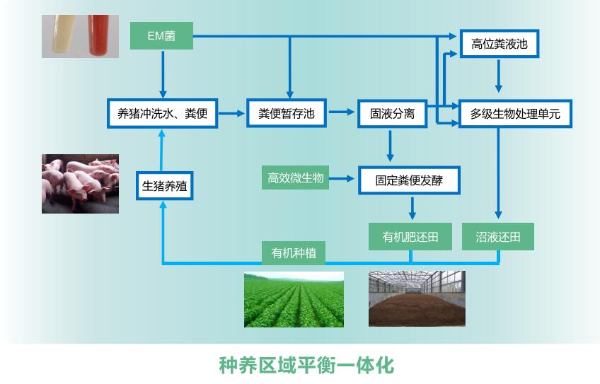 广东省畜禽废弃物,广东省畜禽废弃物的处理与资源化利用