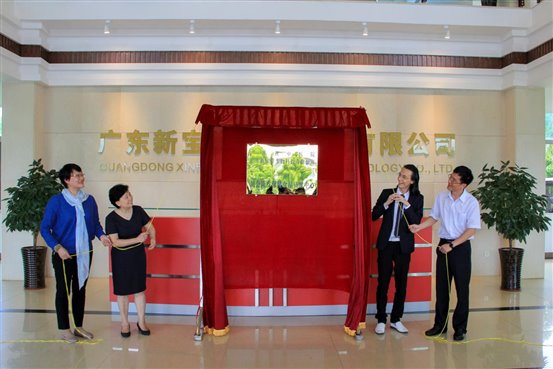 广东康乐有限公司,广东康乐有限公司，创新发展的先行者
