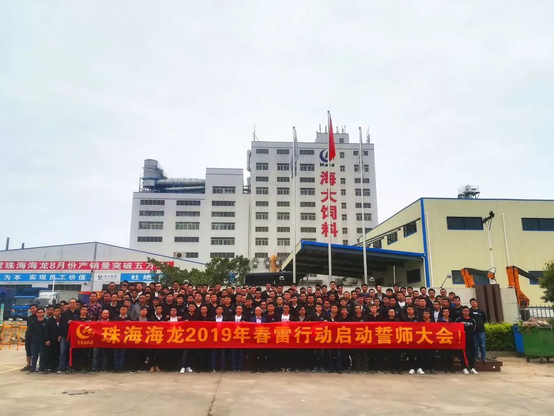 广东海科龙有限公司,广东海科龙有限公司，引领科技创新，铸就企业辉煌