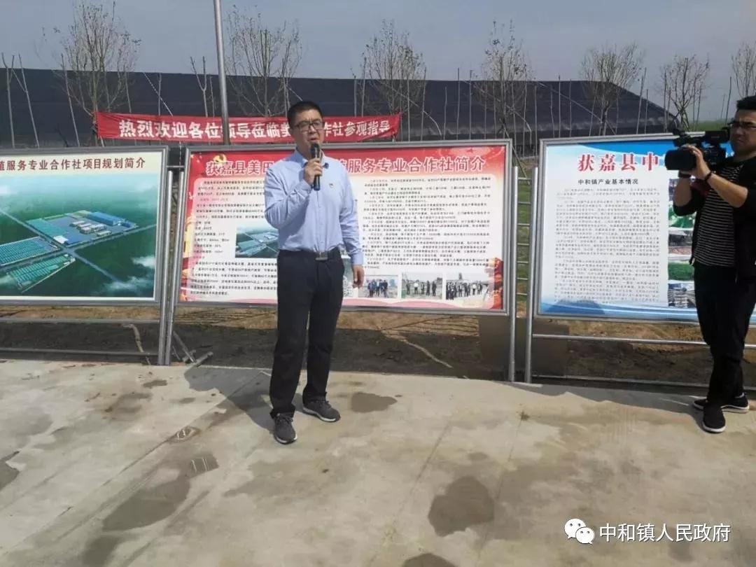 新乡结婚床上用品,新乡结婚床上用品，传统与现代的完美结合