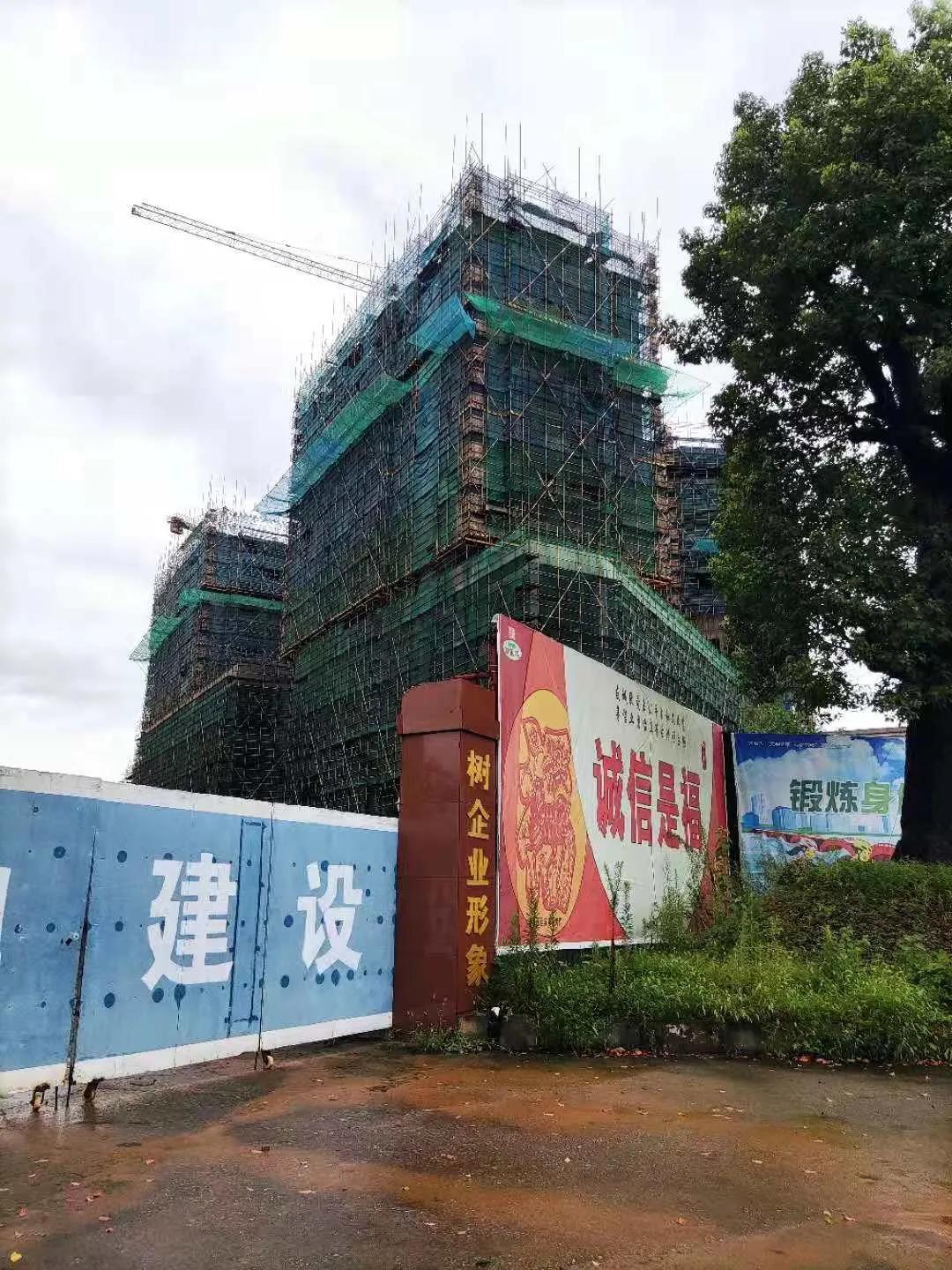 广东博尔置业有限公司,广东博尔置业有限公司，探索、创新与发展的先行者