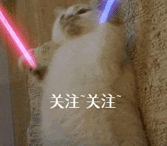 德国牧羊犬2个月图片,德国牧羊犬，两个月大的独特魅力与成长瞬间