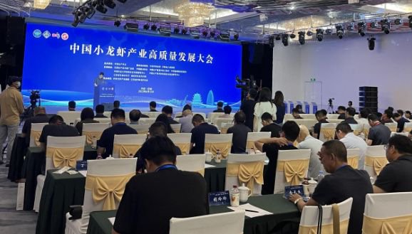 江苏鼎甲科技,江苏鼎甲科技，引领科技创新的先锋力量