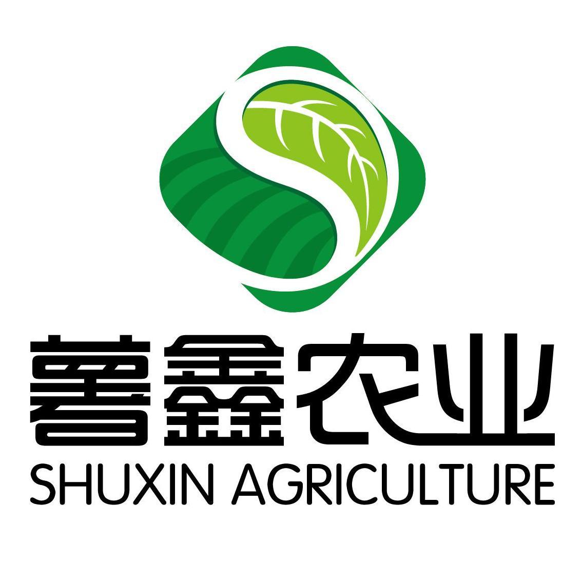 广东鑫龙企业有限公司,广东鑫龙企业有限公司，卓越发展的企业典范