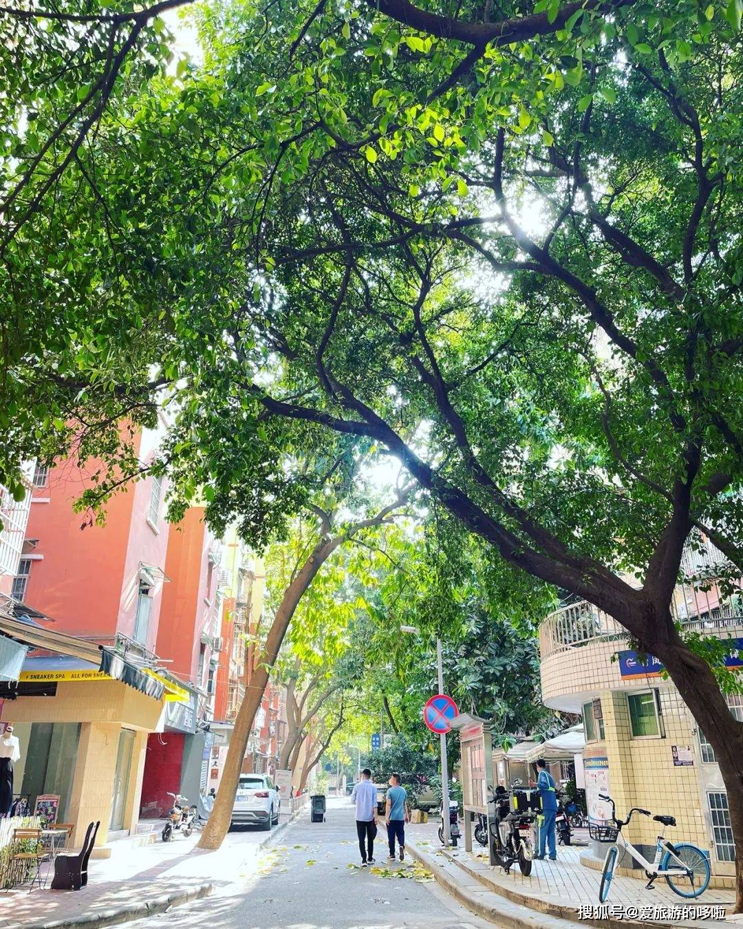 广东省白沙路,广东省白沙路，历史脉络与现代风采