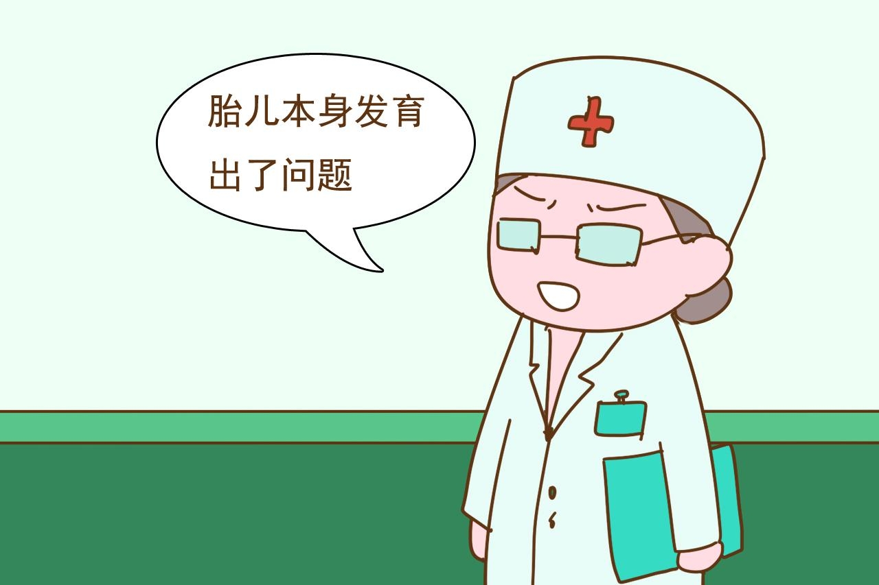 四个月胎停育,四个月胎停育，遭遇与应对