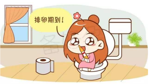 月经是不是每个月都来,月经的周期性，是否每个月都会来临？