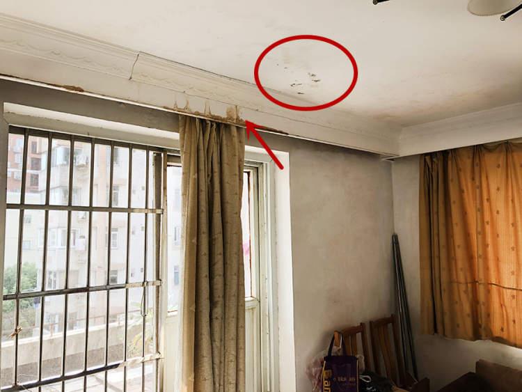 床上用品套件脸盆桶,床上用品套件与脸盆桶，家居生活的舒适与实用并重