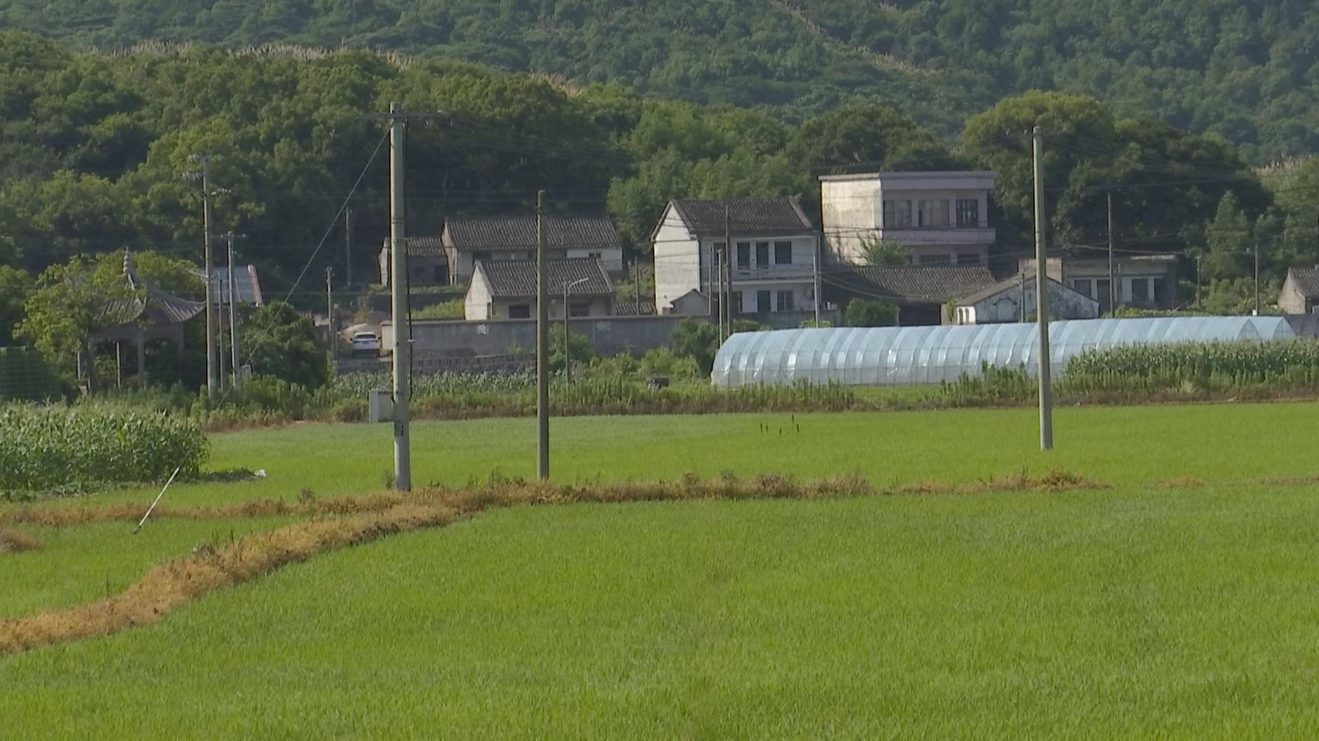 众堆村最新项目,众堆村最新项目，乡村振兴的新引擎
