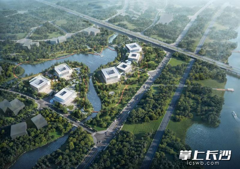 湘江农场最新新闻,湘江农场最新新闻