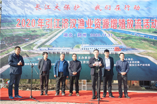荆州市市农业局最新项目,荆州市市农业局最新项目，引领农业现代化，助力乡村振兴
