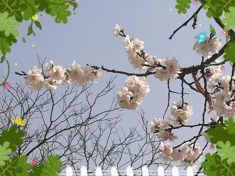 沁县医疗保障局?最新人事任命,沁县医疗保障局最新人事任命动态及医疗保障发展