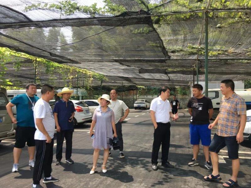 廖家湾乡最新交通新闻,廖家湾乡最新交通新闻——迈向现代化交通的新征程