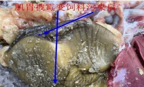 技术咨询 第88页