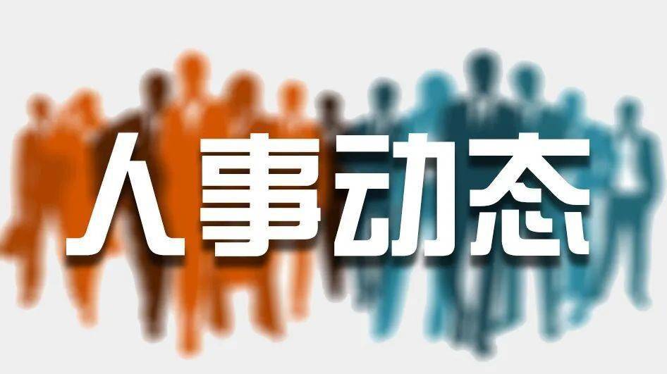 扎木村最新人事任命,扎木村最新人事任命动态及展望