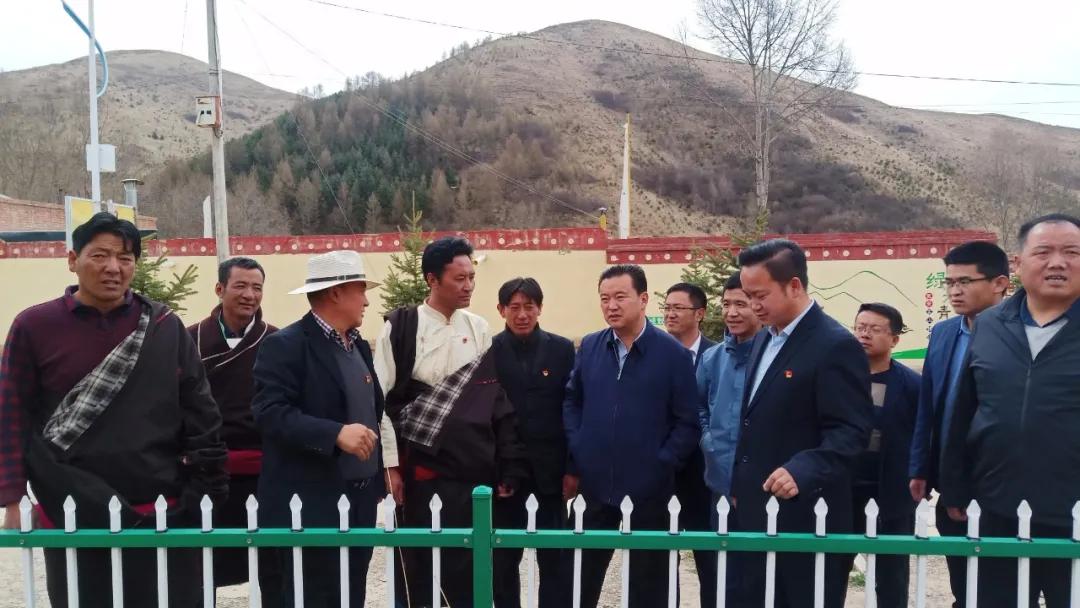 卓洛村民委员会最新新闻,卓洛村民委员会最新新闻，推动乡村振兴，共创美好未来
