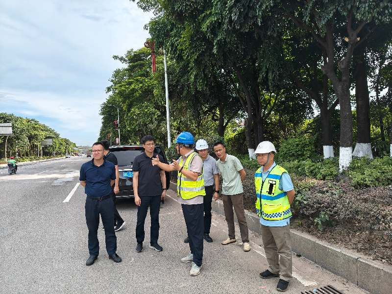 蝶山区级公路维护监理事业单位最新项目,蝶山区级公路维护监理事业单位最新项目概述