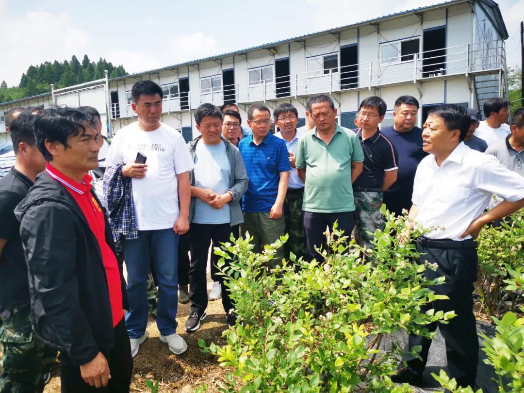 样子哨镇最新新闻,样子哨镇最新新闻报道