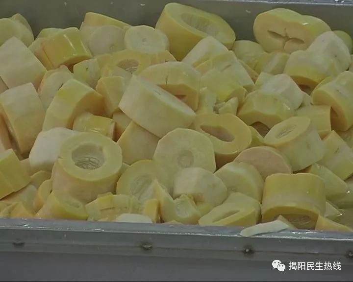 揭东县农业农村局最新人事任命,揭东县农业农村局最新人事任命动态