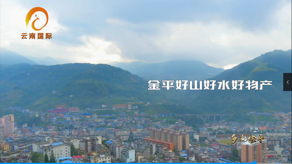 金平苗族瑶族傣族自治县数据和政务服务局最新招聘信息,金平苗族瑶族傣族自治县数据和政务服务局最新招聘信息及其相关概述