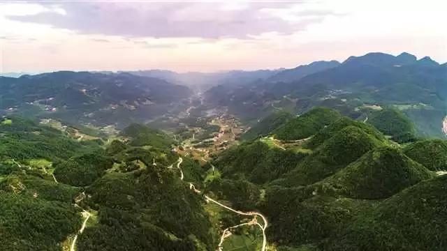 技术开发 第83页