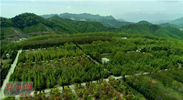 栾川县自然资源和规划局最新新闻,栾川县自然资源和规划局最新新闻，推动生态文明建设，助力地方经济可持续发展