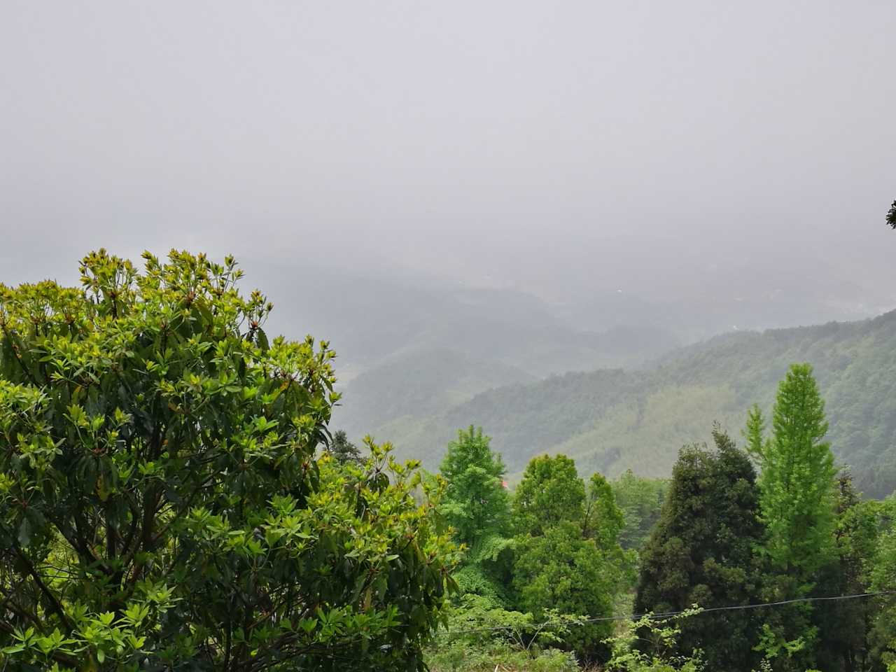 衡阳县岣嵝峰林场最新天气预报,衡阳县岣嵝峰林场最新天气预报