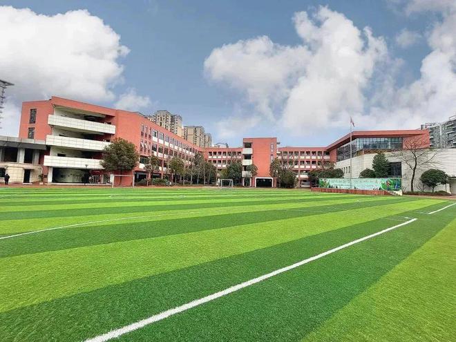 绿园区小学最新项目,绿园区小学最新项目，探索未来教育的崭新篇章