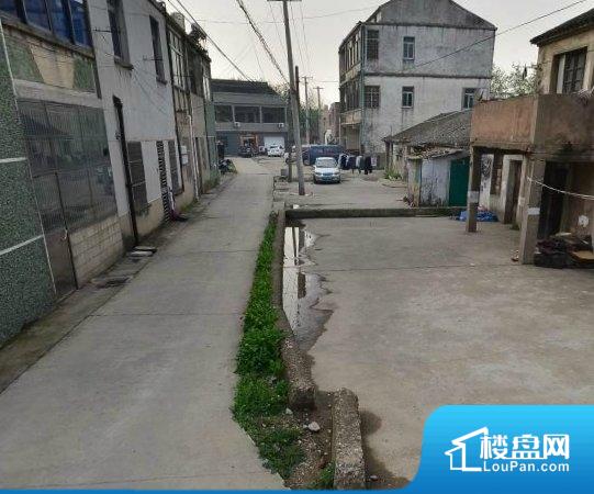 金家村最新天气预报,金家村最新天气预报