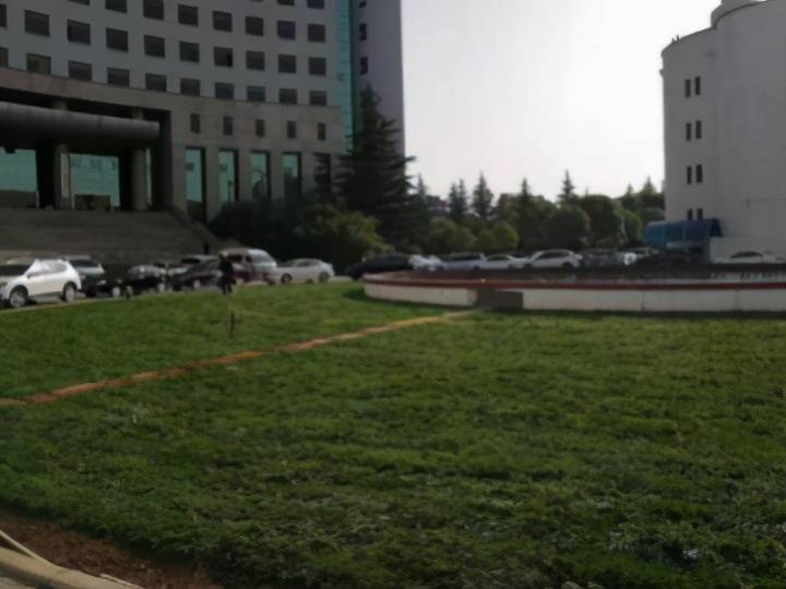 岑溪市体育局最新人事任命,岑溪市体育局最新人事任命，推动体育事业迈向新高度