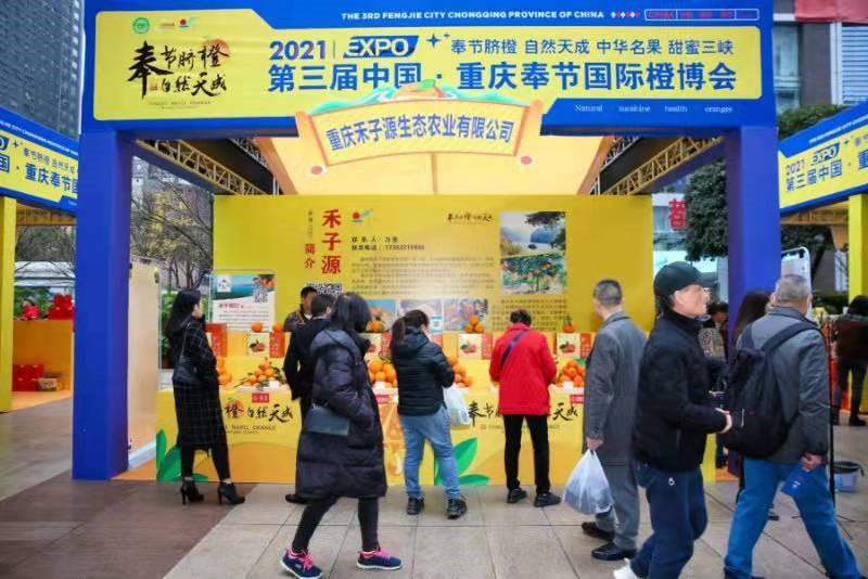 奉节县人民政府办公室最新领导,奉节县人民政府办公室最新领导团队及其工作展望