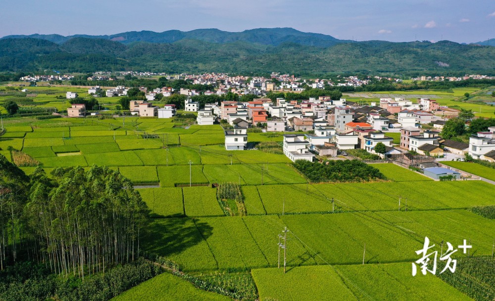 西阳乡最新领导,西阳乡最新领导，引领乡村走向新的辉煌