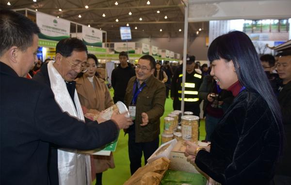 成都市市林业局最新项目,成都市林业局最新项目，绿色生态建设的步伐与未来展望