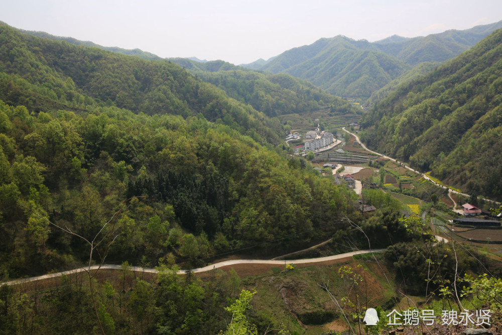 牛曲河村民委员会最新领导,牛曲河村民委员会最新领导团队概述