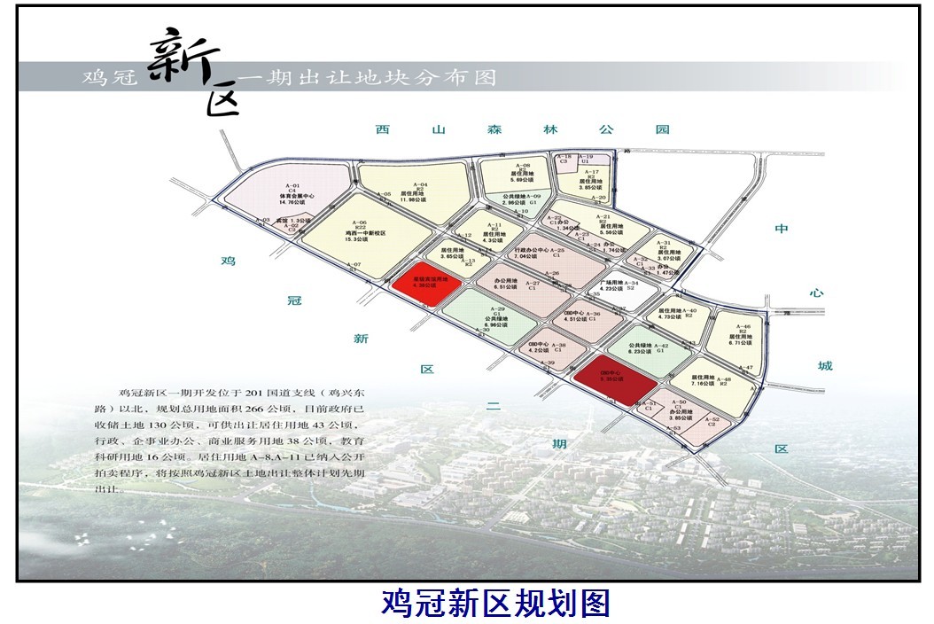 鸡西市市经济委员会最新发展规划,鸡西市市经济委员会最新发展规划