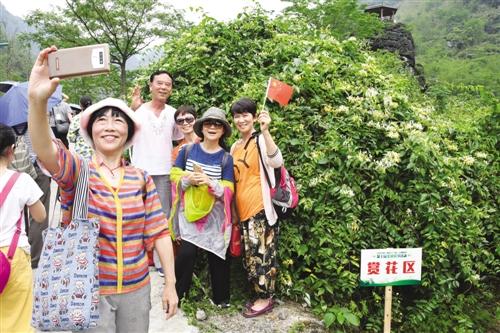 古寨瑶族乡最新交通新闻,古寨瑶族乡最新交通新闻