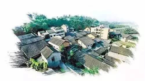 走马硷村委会最新发展规划,走马硷村委会最新发展规划，迈向繁荣与和谐的未来