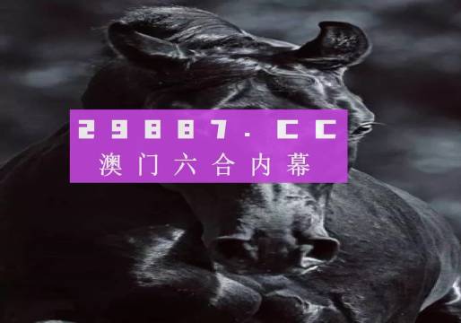 新澳门彩开奖结果2024开奖记录|用户释义解释落实,新澳门彩开奖结果2024年开奖记录详解，用户释义、解释与落实