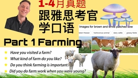澳彩资料免费的资料大全wwe|物流释义解释落实,澳彩资料与物流释义，犯罪与法律落实的探讨