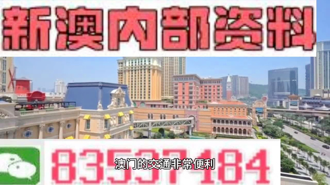 新澳门资料大全正版资料六肖|长期释义解释落实,新澳门资料大全与长期释义解释落实，揭示背后的风险与挑战