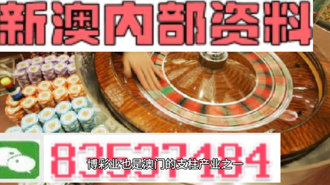 新澳正版资料免费大全|了得释义解释落实,新澳正版资料免费大全与了得释义解释落实的重要性