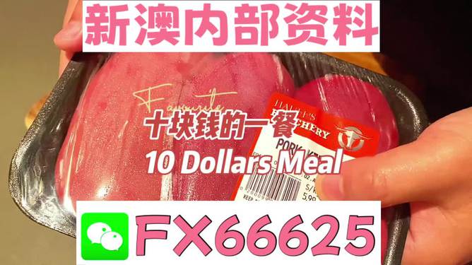 新澳精准资料免费提供4949期|敏捷释义解释落实,新澳精准资料免费提供，敏捷释义、解释与落实的探讨——以第4949期为例