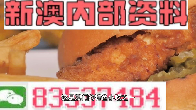 新澳2024年精准资料220期|强劲释义解释落实,新澳2024年精准资料220期，强劲释义解释落实的未来展望